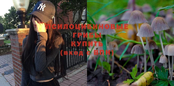гидра Баксан